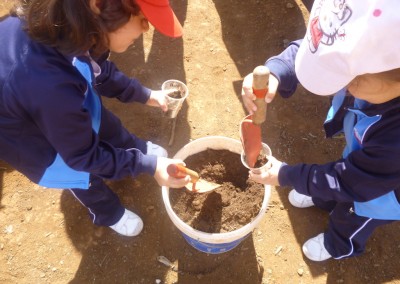 Un día rural