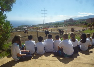 Un día rural